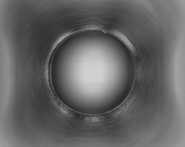 X0000112731051200908201322