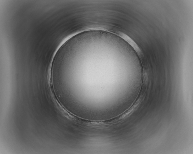 X0000112731052200908201322