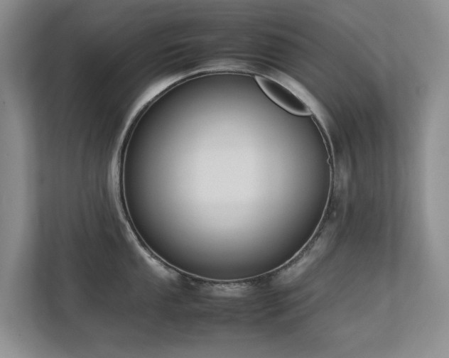 X0000112731053200908201322