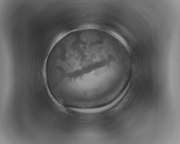 X0000112731055200908201322