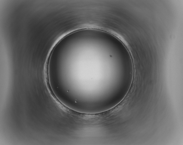 X0000112731056200908201322