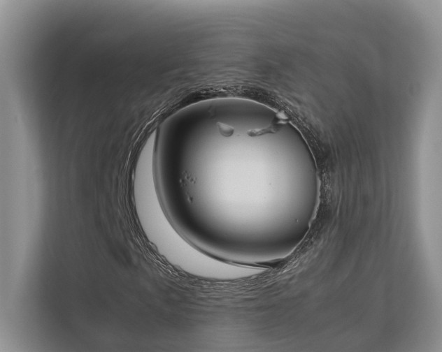 X0000112731057200908201321