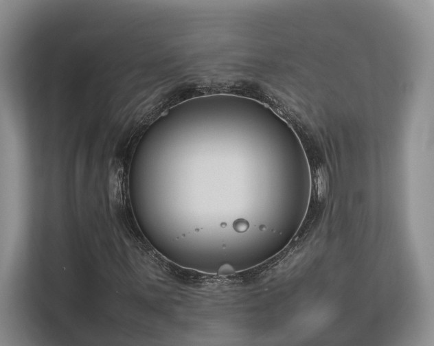 X0000112731059200908201321