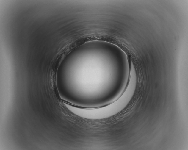 X0000112731060200908201321