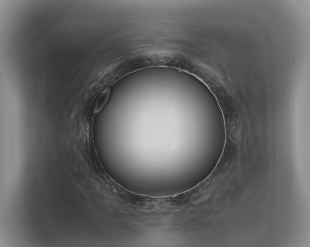 X0000112731061200908201321