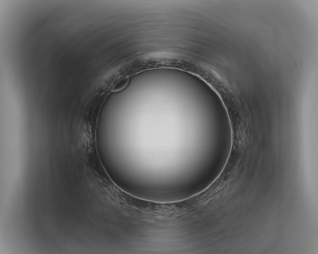 X0000112731062200908201321