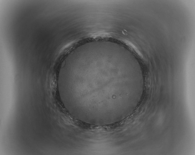 X0000112731063200908201321