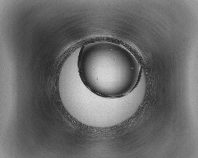 X0000112731064200908201321