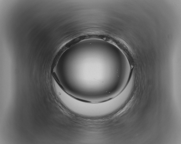 X0000112731065200908201321