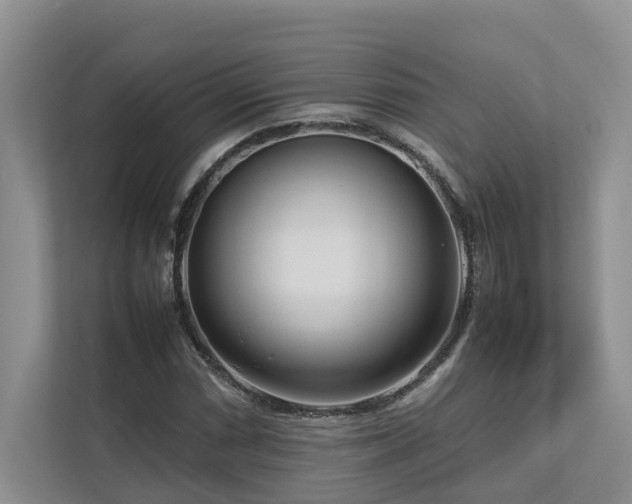 X0000112731066200908201321