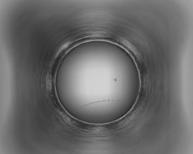 X0000112731067200908201321