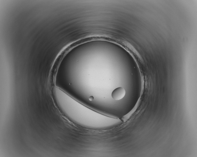 X0000112731068200908201321