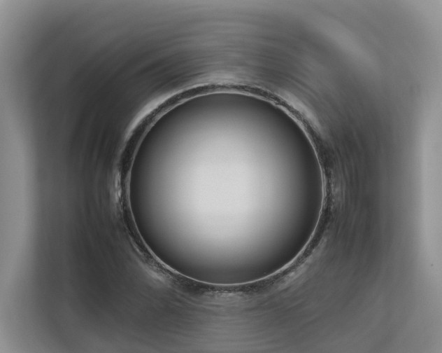 X0000112731070200908201321