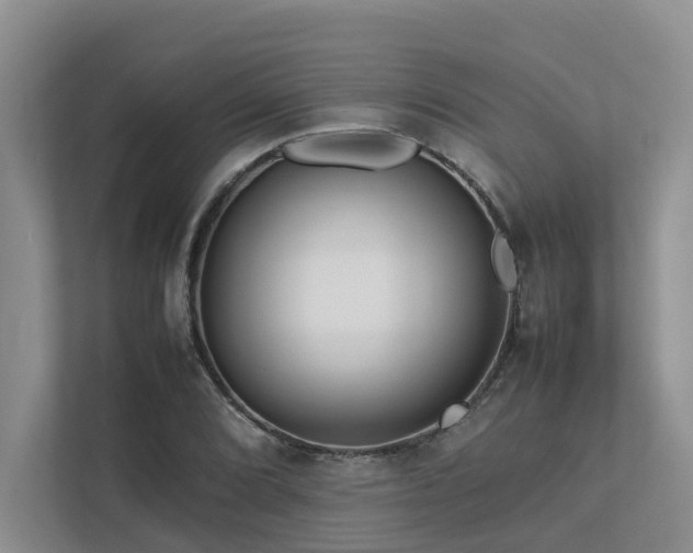 X0000112731072200908201321