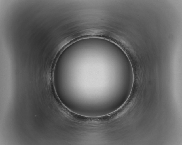 X0000112731073200908201321