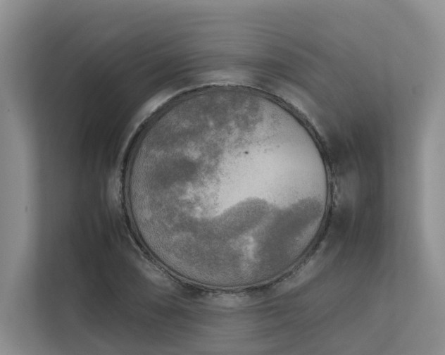 X0000112731074200908201321