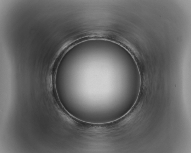 X0000112731075200908201321