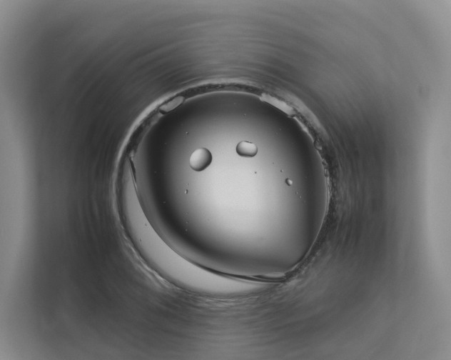 X0000112731076200908201321