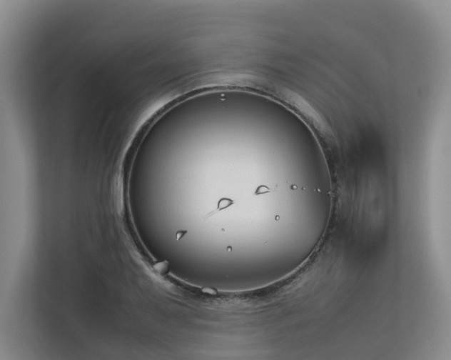 X0000112731079200908201321