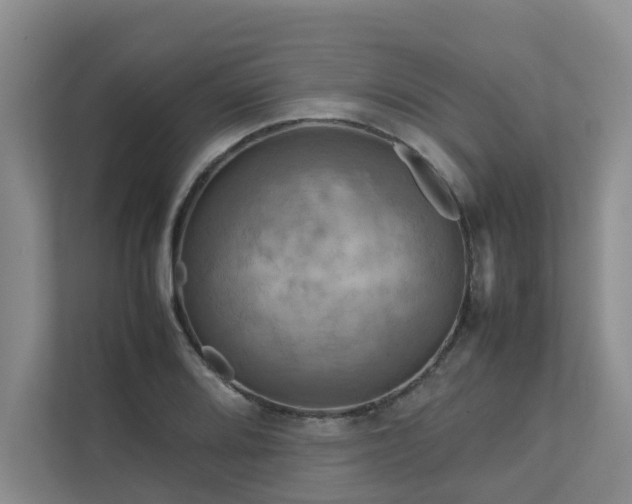 X0000112731080200908201321