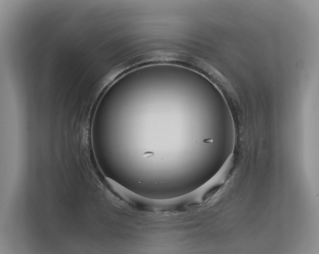 X0000112731081200908201321