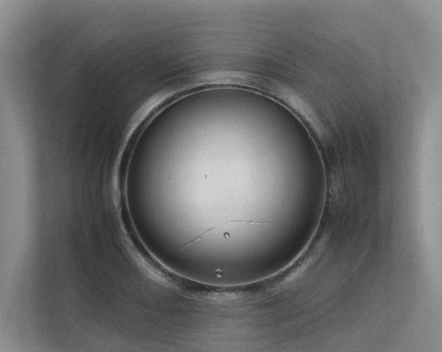 X0000112731082200908201321