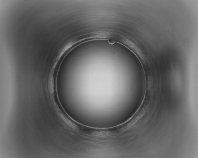 X0000112731083200908201321