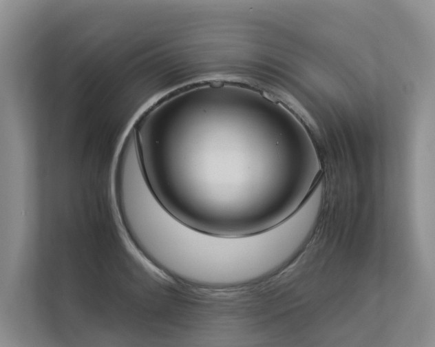 X0000112731084200908201321