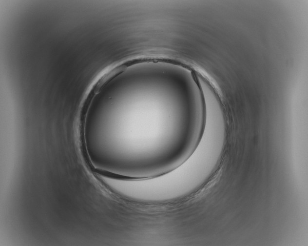 X0000112731085200908201321