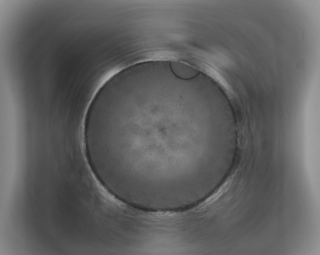 X0000112731087200908201321