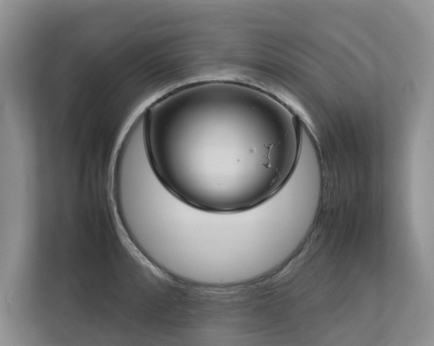 X0000112731088200908201321