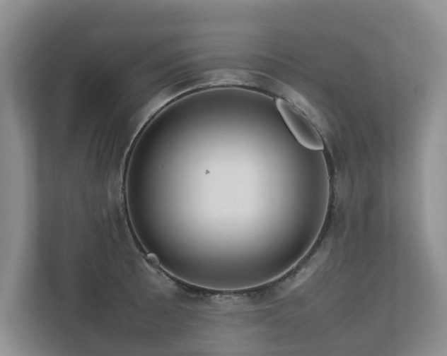 X0000112731089200908201321