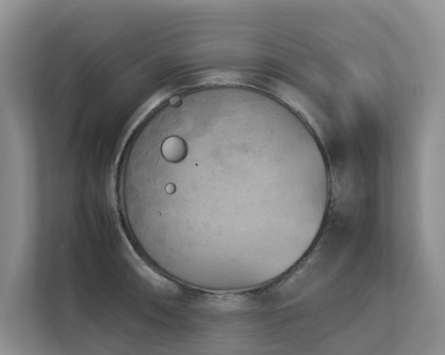 X0000112731090200908201321