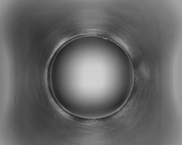 X0000112731091200908201321