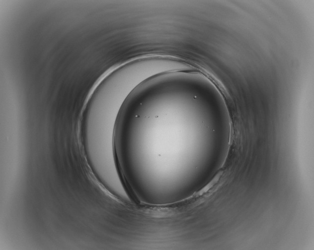 X0000112731092200908201321