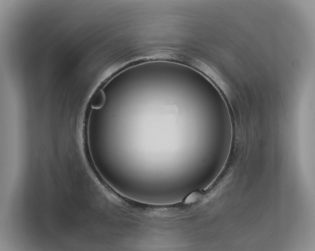 X0000112731093200908201321