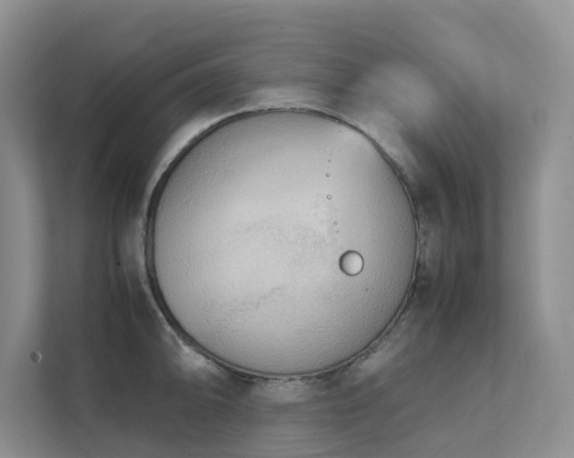 X0000112731094200908201321