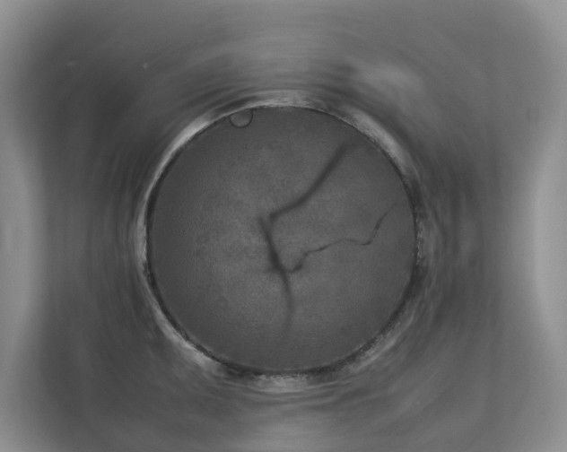 X0000112731095200908201321