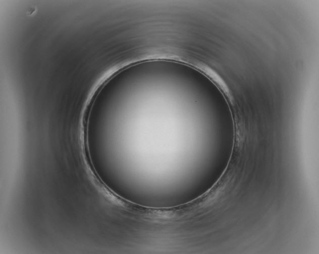 X0000112731096200908201321