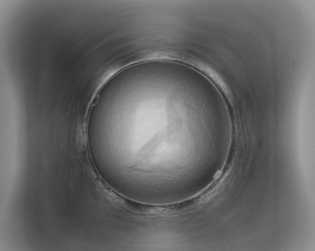 X0000112731097200908201321