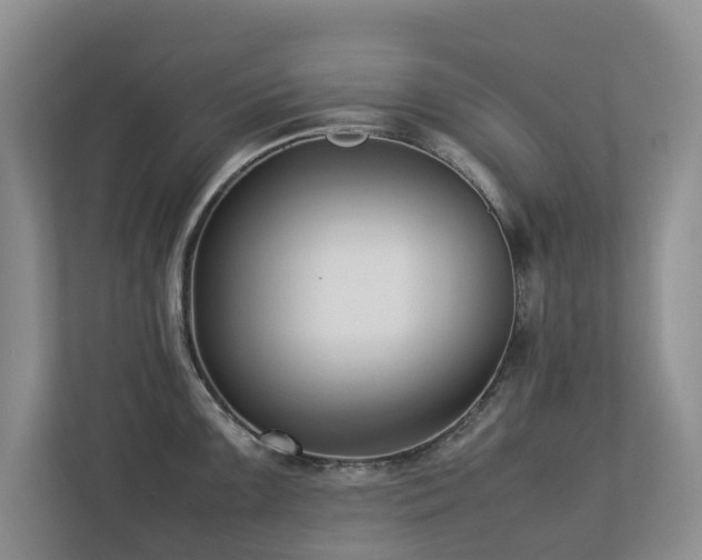 X0000112731099200908201321