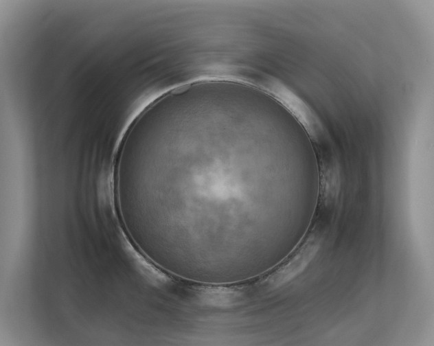 X0000112731100200908201321