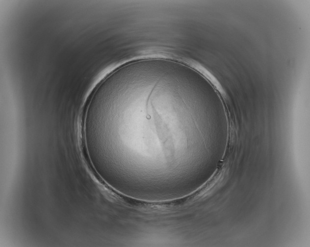 X0000112731101200908201321