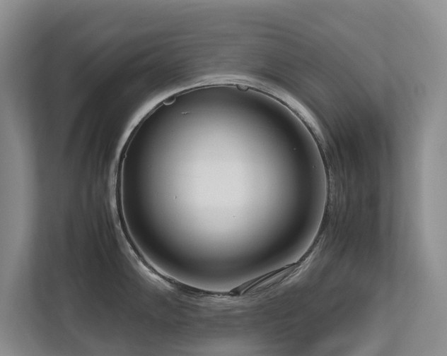 X0000112731102200908201321