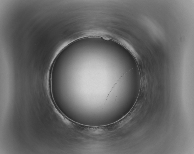 X0000112731103200908201321