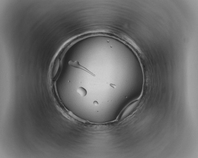 X0000112731116200908201320