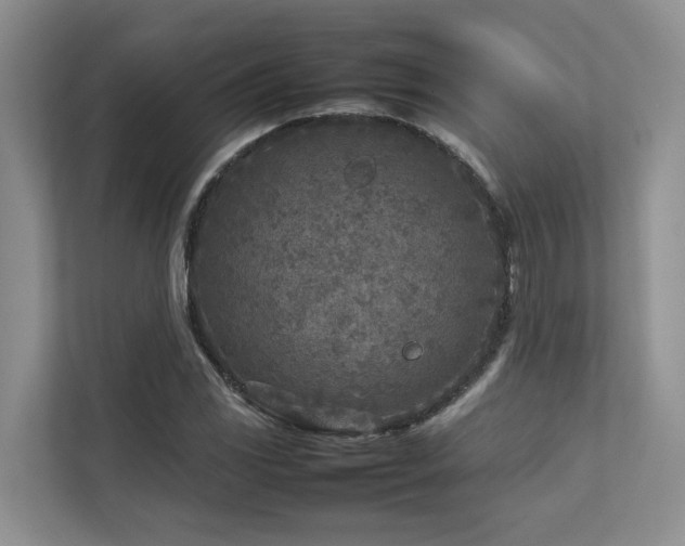 X0000112731117200908201320