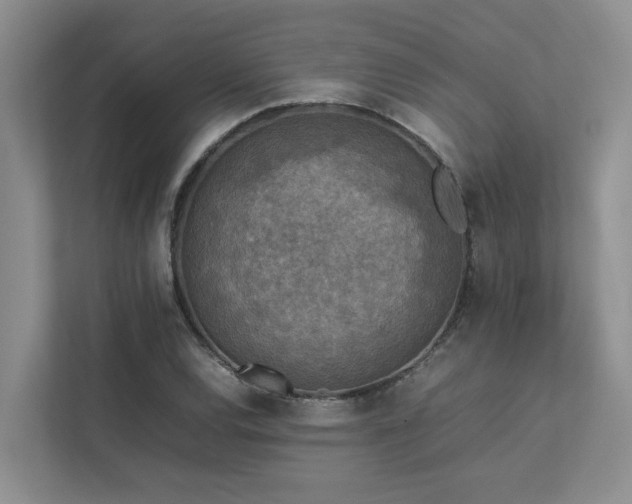 X0000112731120200908201320