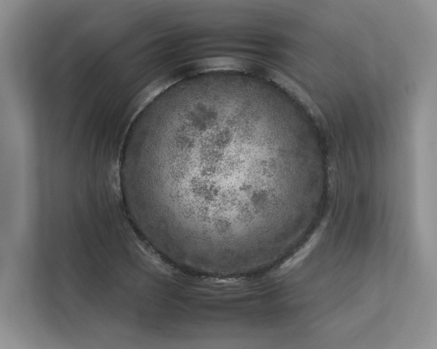 X0000112731121200908201320