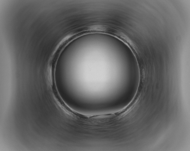 X0000112731123200908201320